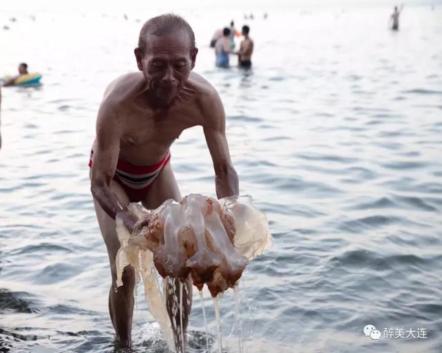 夏家河里的它比河豚還要毒