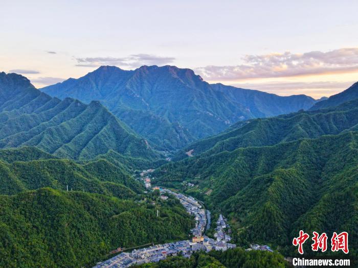 “重慶最綠縣”打造“大巴山藥谷”