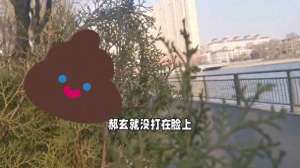 美女的屎多少錢(美女高空扔大便，拘役三個月罰款2000元，你說方便不方便？)