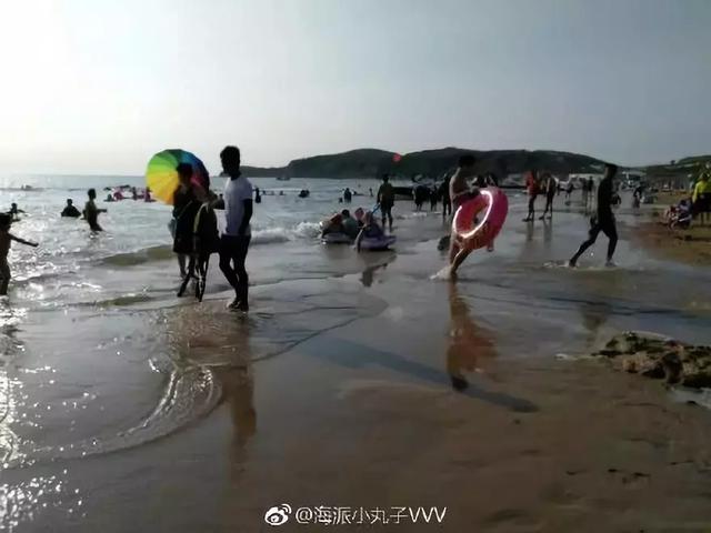 夏家河里的它比河豚還要毒