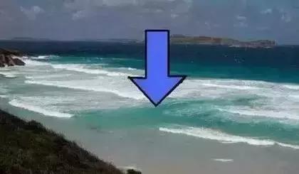 夏家河里的它比河豚還要毒