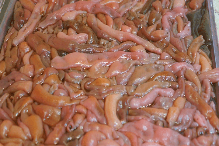 海腸撈飯，膠東年菜“新秀”