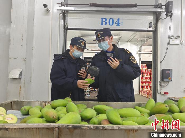 中越邊境廣西友誼關(guān)口岸外貿(mào)規(guī)模創(chuàng)歷史新高
