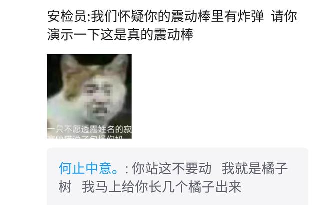 過(guò)安檢的時(shí)候你都有過(guò)哪些難忘的經(jīng)歷？請(qǐng)演示一下你的振動(dòng)棒