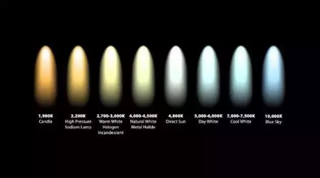 廠家是因為便宜，霧燈不用LED的？其實是……