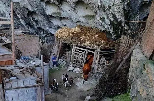 驚！貴州其實(shí)是座“洞府迷宮”，藏在深山的溶洞，你去過幾個(gè)？