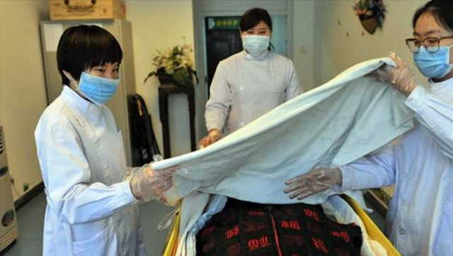 蘇州小伙被神秘毒蛇咬傷，為了救他全城出動，毒蛇到底有多恐怖
