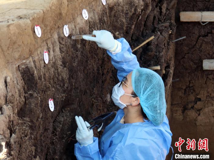 和龍大洞遺址發(fā)掘展現(xiàn)長白山地區(qū)石器工業(yè)演化歷程