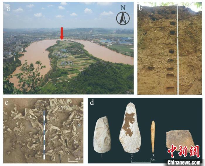 植物考古研究分別揭示廣西福蘭、江西岸遺址史前人類(lèi)生活方式