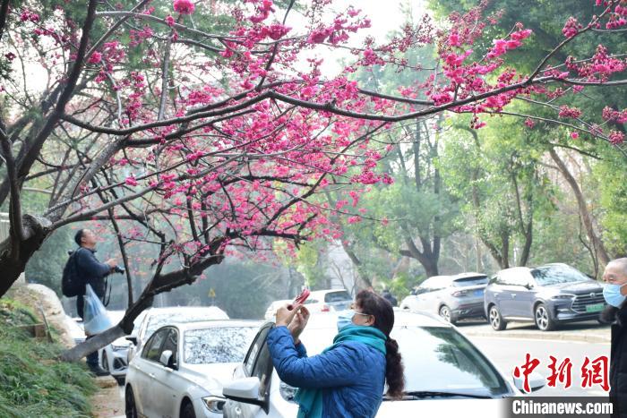 湖北將迎明顯升溫 最高溫逼近30℃