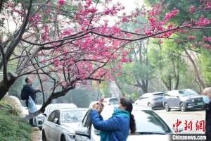 湖北將迎明顯升溫 最高溫逼近30℃
