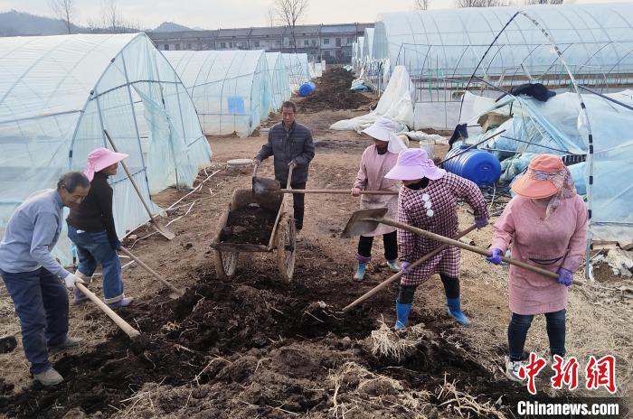 陜西洛南：秦嶺腹地開啟“春忙”模式