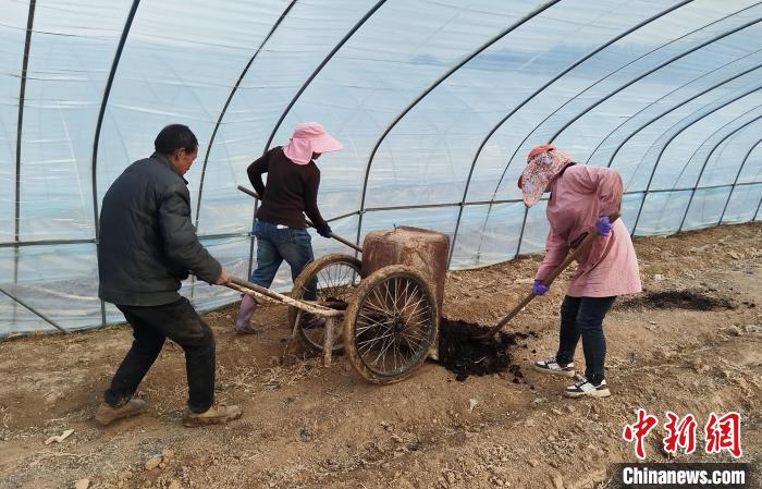 陜西洛南：秦嶺腹地開啟“春忙”模式
