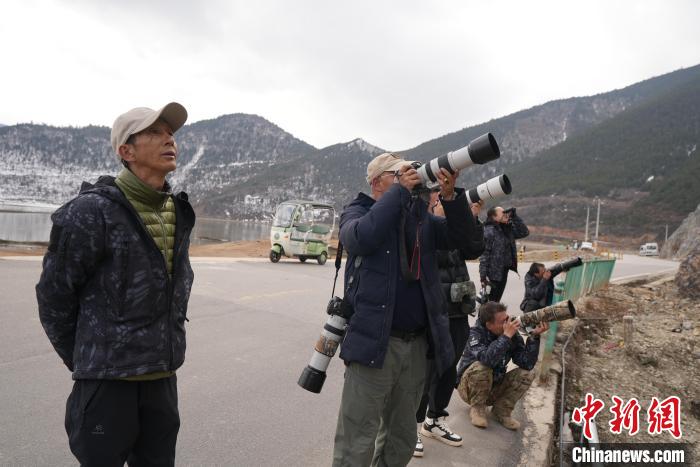 生態(tài)+文旅 香格里拉觀鳥活動開啟冬春旅游新體驗
