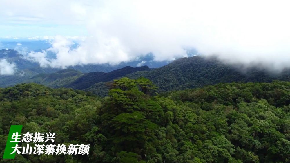 微視頻｜看廣袤鄉(xiāng)村新面貌 繪鄉(xiāng)村振興錦繡圖