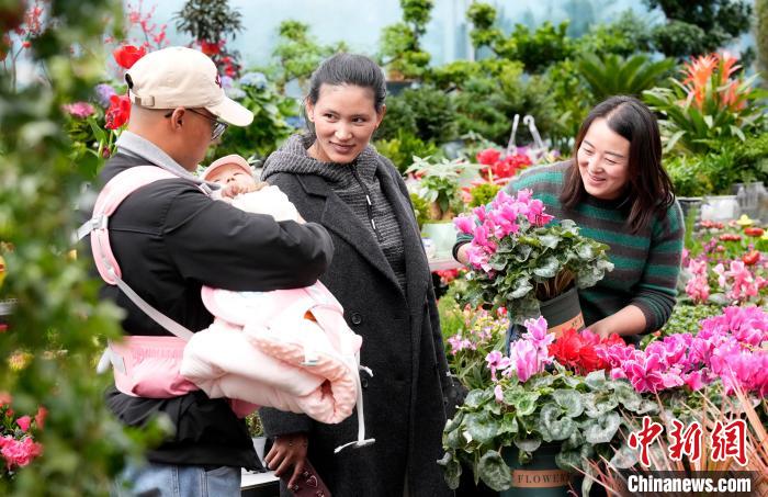西藏拉薩：藏歷新年臨近 市民花市選年貨
