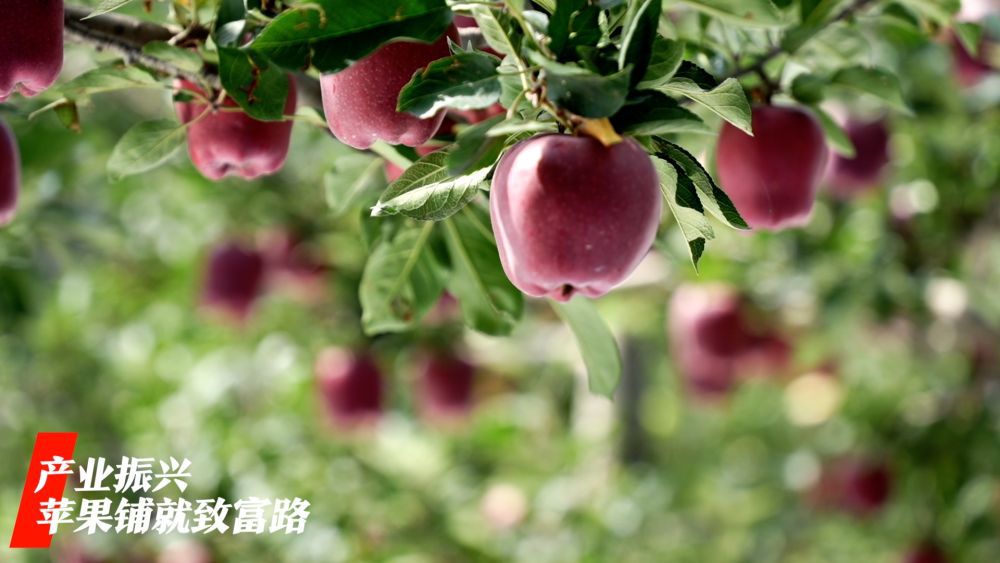 微視頻｜看廣袤鄉(xiāng)村新面貌 繪鄉(xiāng)村振興錦繡圖