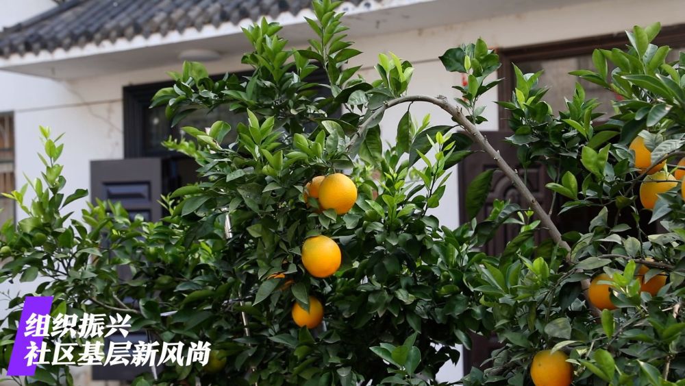 微視頻｜看廣袤鄉(xiāng)村新面貌 繪鄉(xiāng)村振興錦繡圖