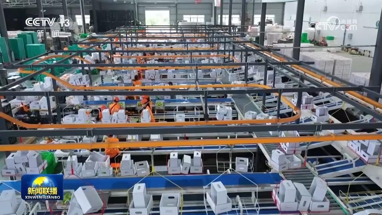 “五一”假期超14億人次出行 “流動(dòng)的中國(guó)”充滿活力