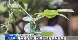 主播拒絕“擦邊”要賠50萬？離家30年想繼承遺產(chǎn)？法院判決大快人心→