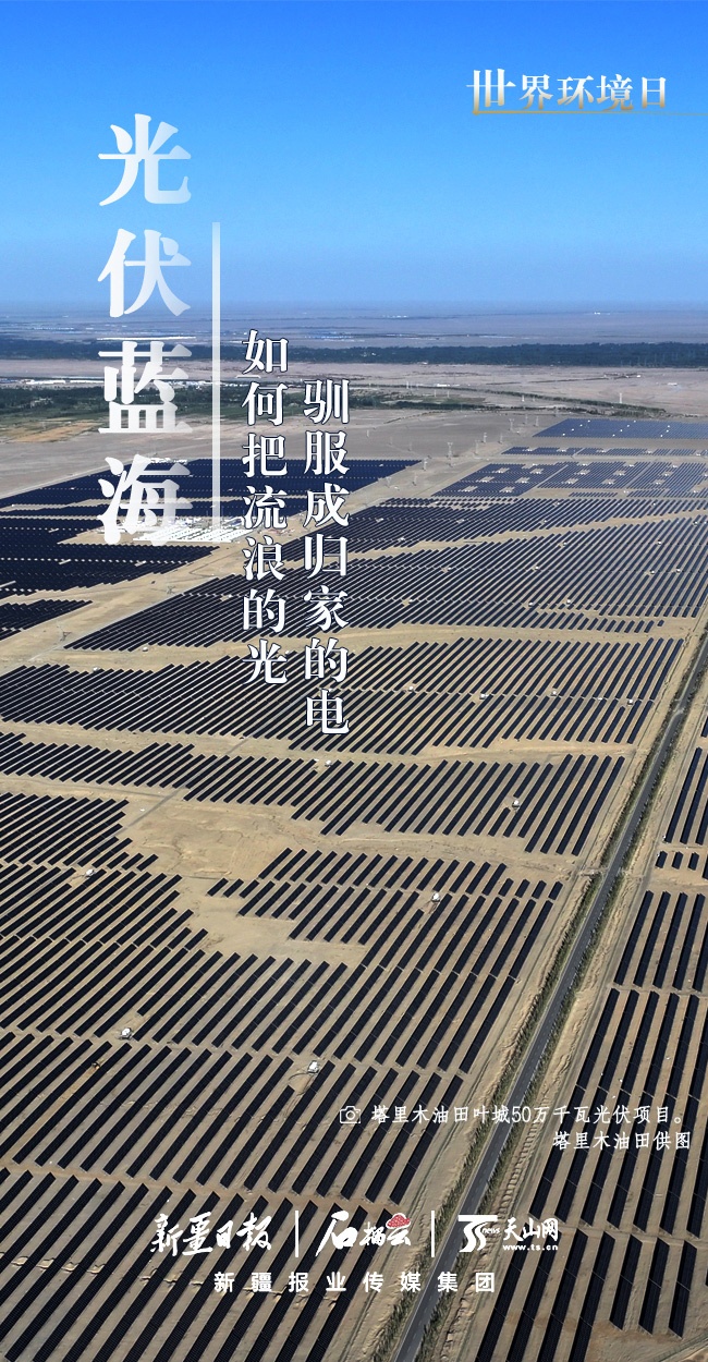世界環(huán)境日丨看新疆的“綠色”答卷