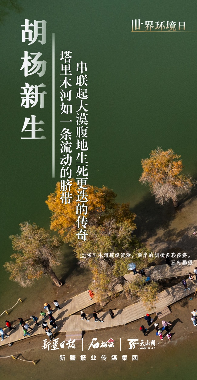 世界環(huán)境日丨看新疆的“綠色”答卷