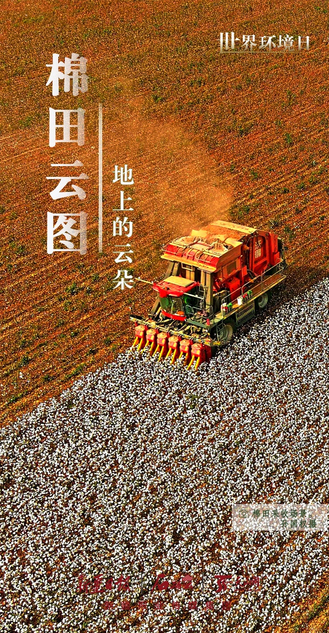 世界環(huán)境日丨看新疆的“綠色”答卷